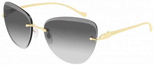 Cartier CT0032RS 001