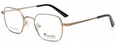 Baniss 1010 C2